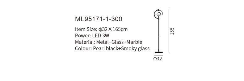 ML95171-1.png